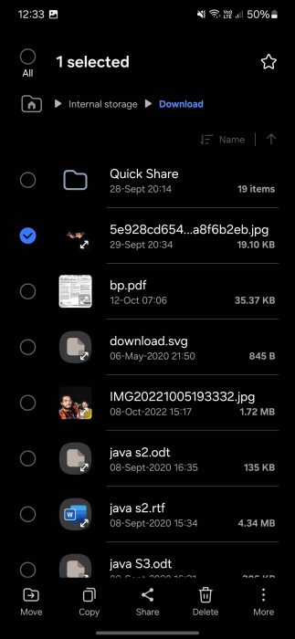 Image of the File selected