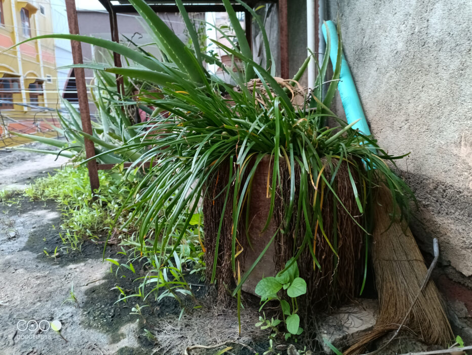 DOOGEE S98 sample4