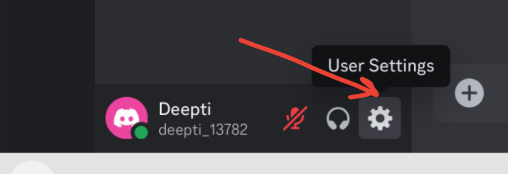 image to click the settings icon at the bottom-left and stream Disney Plus on Discord